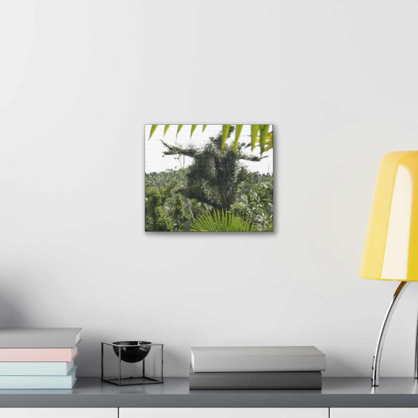 Deals on Thin Canvas - Stretched, 0.75" - Small Sizes Horizontal - Ideal for Wall Forest Mosaics - Tree Survivor of Maria - Rio Sabana Park - Green Forest Home