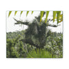 Deals on Thin Canvas - Stretched, 0.75" - Small Sizes Horizontal - Ideal for Wall Forest Mosaics - Tree Survivor of Maria - Rio Sabana Park - Green Forest Home