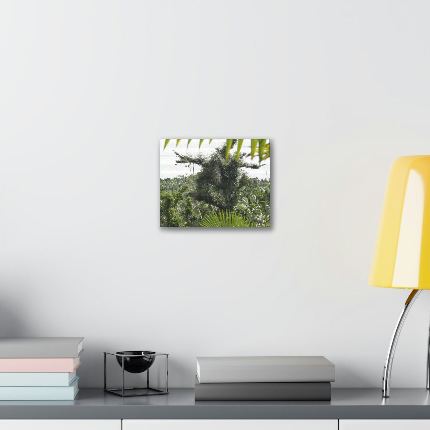 Deals on Thin Canvas - Stretched, 0.75" - Small Sizes Horizontal - Ideal for Wall Forest Mosaics - Tree Survivor of Maria - Rio Sabana Park - Green Forest Home