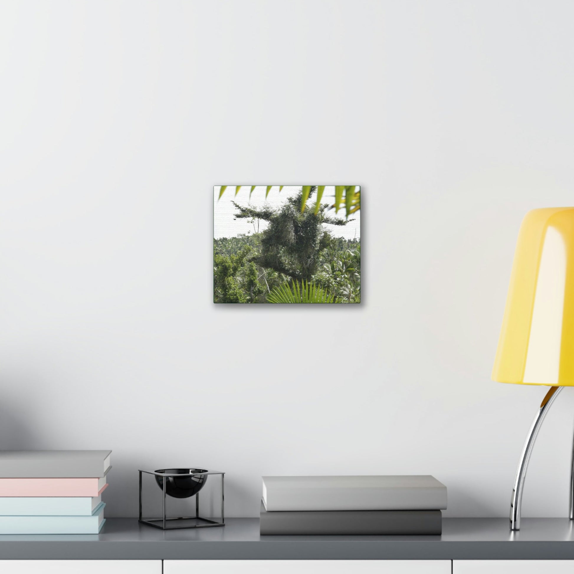 Deals on Thin Canvas - Stretched, 0.75" - Small Sizes Horizontal - Ideal for Wall Forest Mosaics - Tree Survivor of Maria - Rio Sabana Park - Green Forest Home