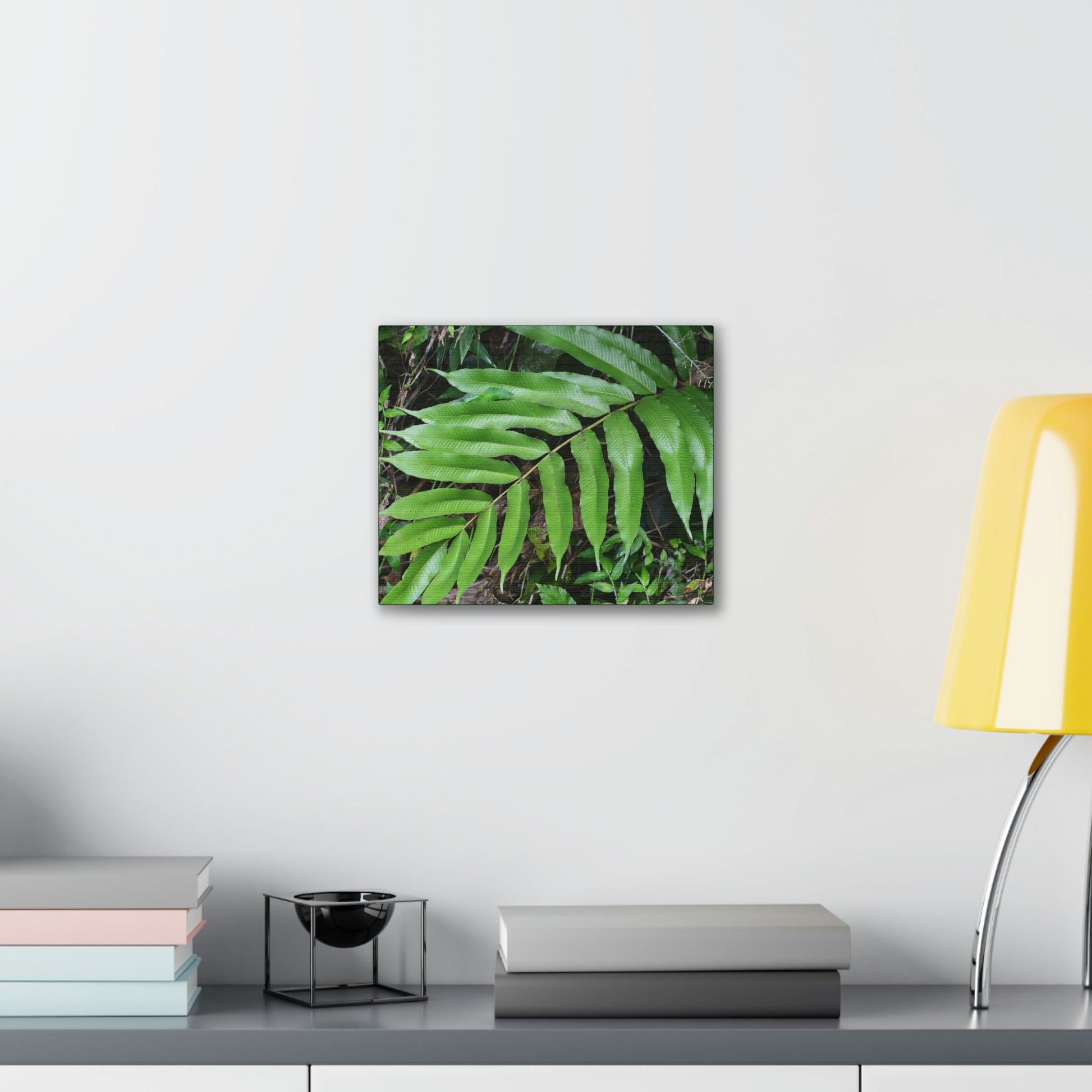 Deals on Thin Canvas - Stretched, 0.75" - Small Sizes Horizontal - Ideal for Wall Forest Mosaics - Typical Fern plant leaf - Green Forest Home