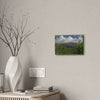 Deals on Thin Canvas - Stretched, 0.75" - Small Sizes Horizontal - Ideal for Wall Forest Mosaics - View of El Yunque among multiple river plants - Green Forest Home
