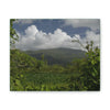 Deals on Thin Canvas - Stretched, 0.75" - Small Sizes Horizontal - Ideal for Wall Forest Mosaics - View of El Yunque among multiple river plants - Green Forest Home
