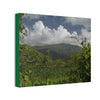 Deals on Thin Canvas - Stretched, 0.75" - Small Sizes Horizontal - Ideal for Wall Forest Mosaics - View of El Yunque among multiple river plants - Green Forest Home