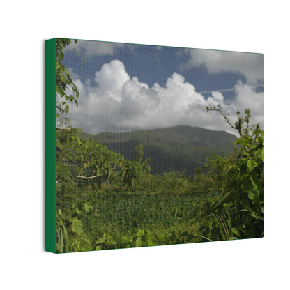 Deals on Thin Canvas - Stretched, 0.75" - Small Sizes Horizontal - Ideal for Wall Forest Mosaics - View of El Yunque among multiple river plants - Green Forest Home
