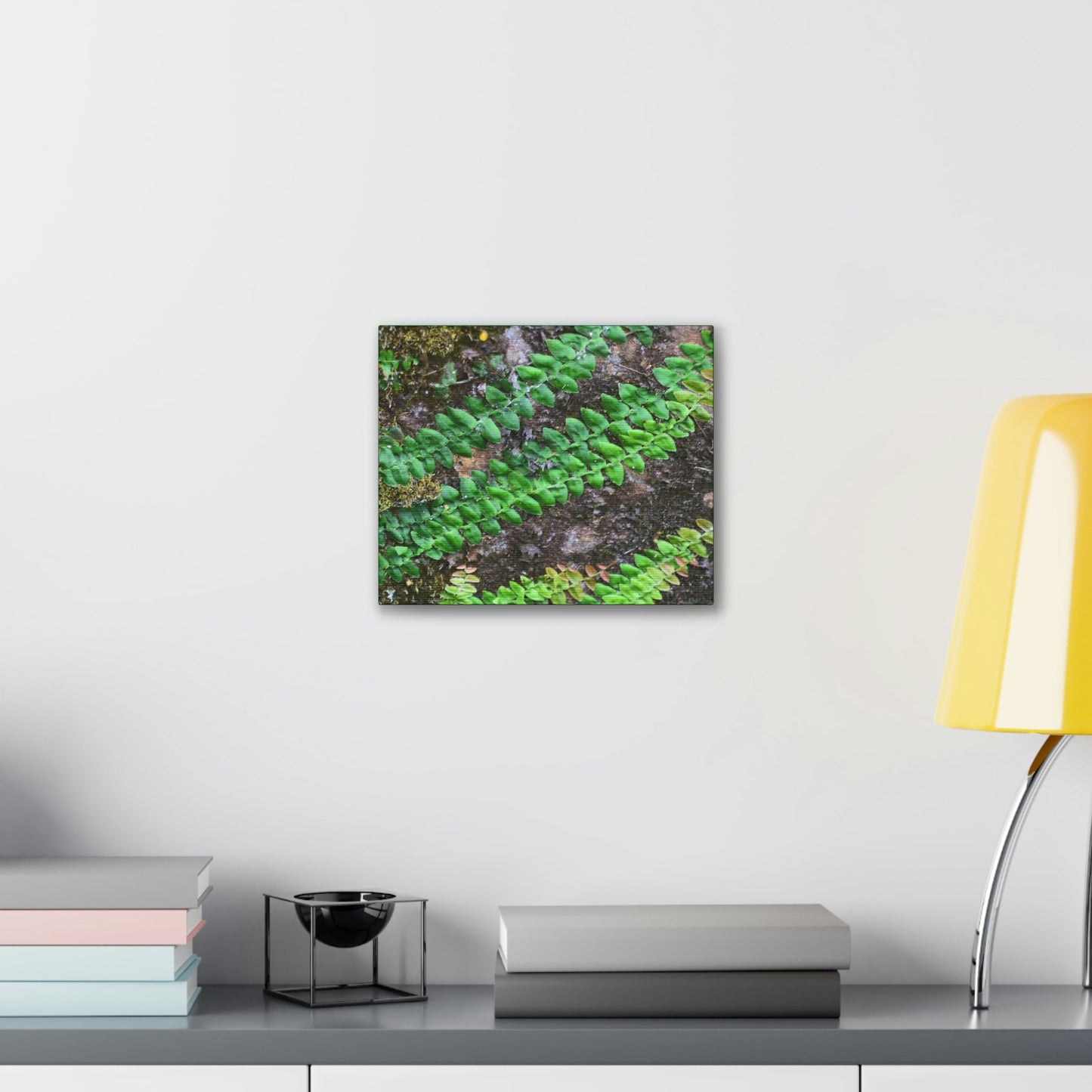 Deals on Thin Canvas - Stretched, 0.75" - Small Sizes Horizontal - Ideal for Wall Forest Mosaics - Weird Plant Grows on Boulders - Green Forest Home