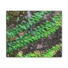 Deals on Thin Canvas - Stretched, 0.75" - Small Sizes Horizontal - Ideal for Wall Forest Mosaics - Weird Plant Grows on Boulders - Green Forest Home