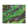 Deals on Thin Canvas - Stretched, 0.75" - Small Sizes Horizontal - Ideal for Wall Forest Mosaics - Weird Plant Grows on Boulders - Green Forest Home