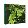 Deals on Thin Canvas - Stretched, 0.75" - Small Sizes Horizontal - Ideal for Wall Forest Mosaics - Yagrumo small tree leaves under the sun - Green Forest Home