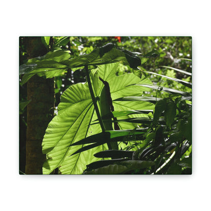 Deals on Thin Canvas - Stretched, 0.75" - Small Sizes Horizontal - Ideal for Wall Forest Mosaics - Yagrumo small tree leaves under the sun - Green Forest Home