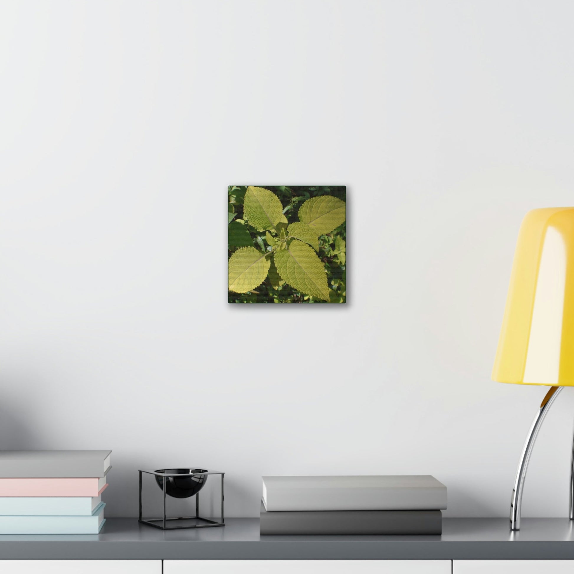 Deals on Thin Canvas - Stretched, 0.75" - Small Sizes - Ideal for Wall Forest Mosaics - Another variety of the Verguenza family of plants - Green Forest Home