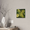 Deals on Thin Canvas - Stretched, 0.75" - Small Sizes - Ideal for Wall Forest Mosaics - Another variety of the Verguenza family of plants - Green Forest Home