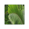 Deals on Thin Canvas - Stretched, 0.75" - Small Sizes - Ideal for Wall Forest Mosaics - Closeup of a Sierra Palm branch - Green Forest Home