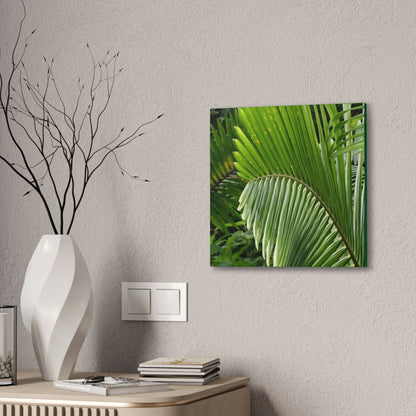 Deals on Thin Canvas - Stretched, 0.75" - Small Sizes - Ideal for Wall Forest Mosaics - Closeup of a Sierra Palm branch - Green Forest Home