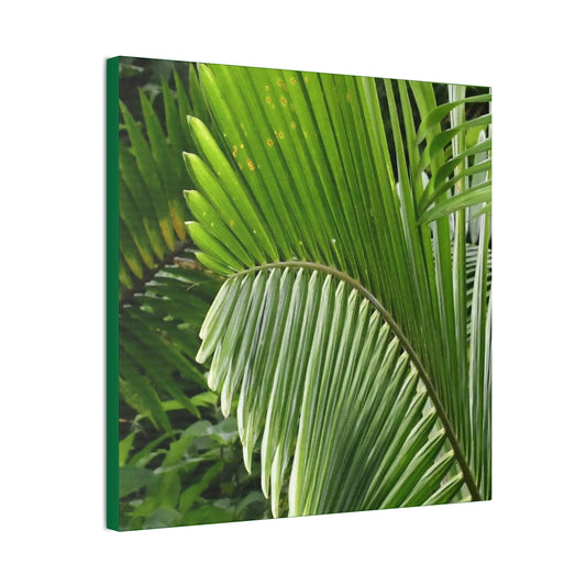 Deals on Thin Canvas - Stretched, 0.75" - Small Sizes - Ideal for Wall Forest Mosaics - Closeup of a Sierra Palm branch - Green Forest Home