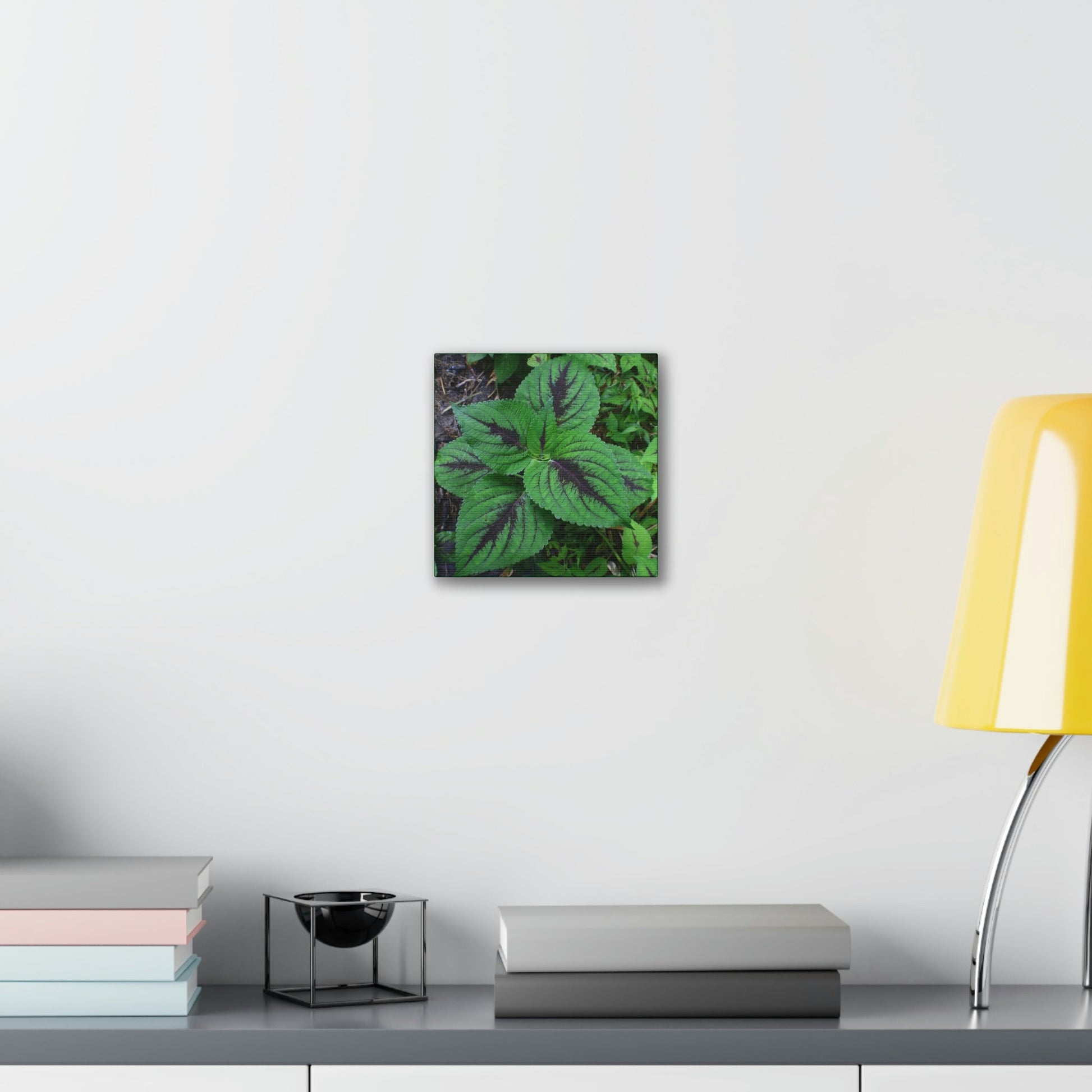 Deals on Thin Canvas - Stretched, 0.75" - Small Sizes - Ideal for Wall Forest Mosaics - Closeup of a Verguenza plant - Green Forest Home