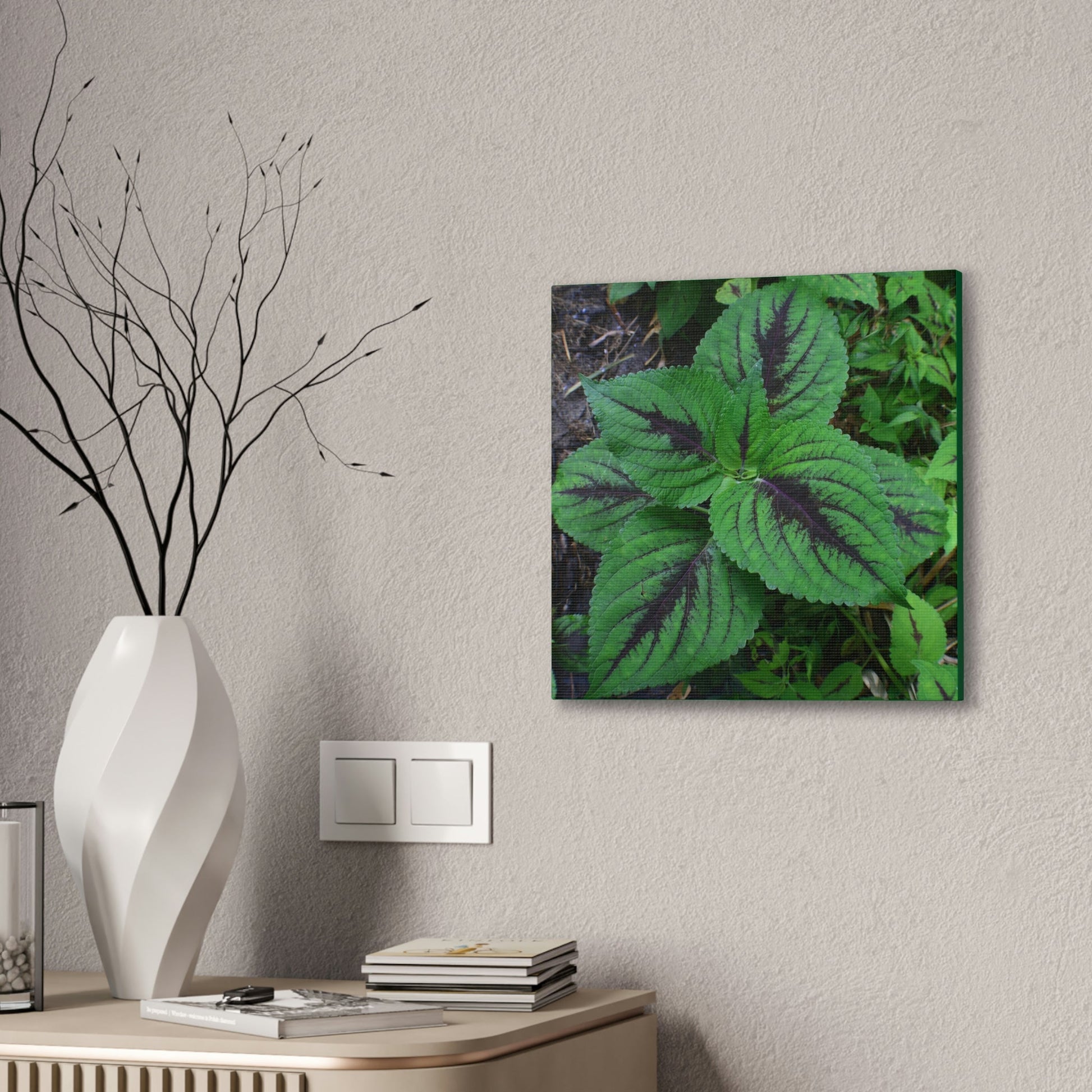 Deals on Thin Canvas - Stretched, 0.75" - Small Sizes - Ideal for Wall Forest Mosaics - Closeup of a Verguenza plant - Green Forest Home