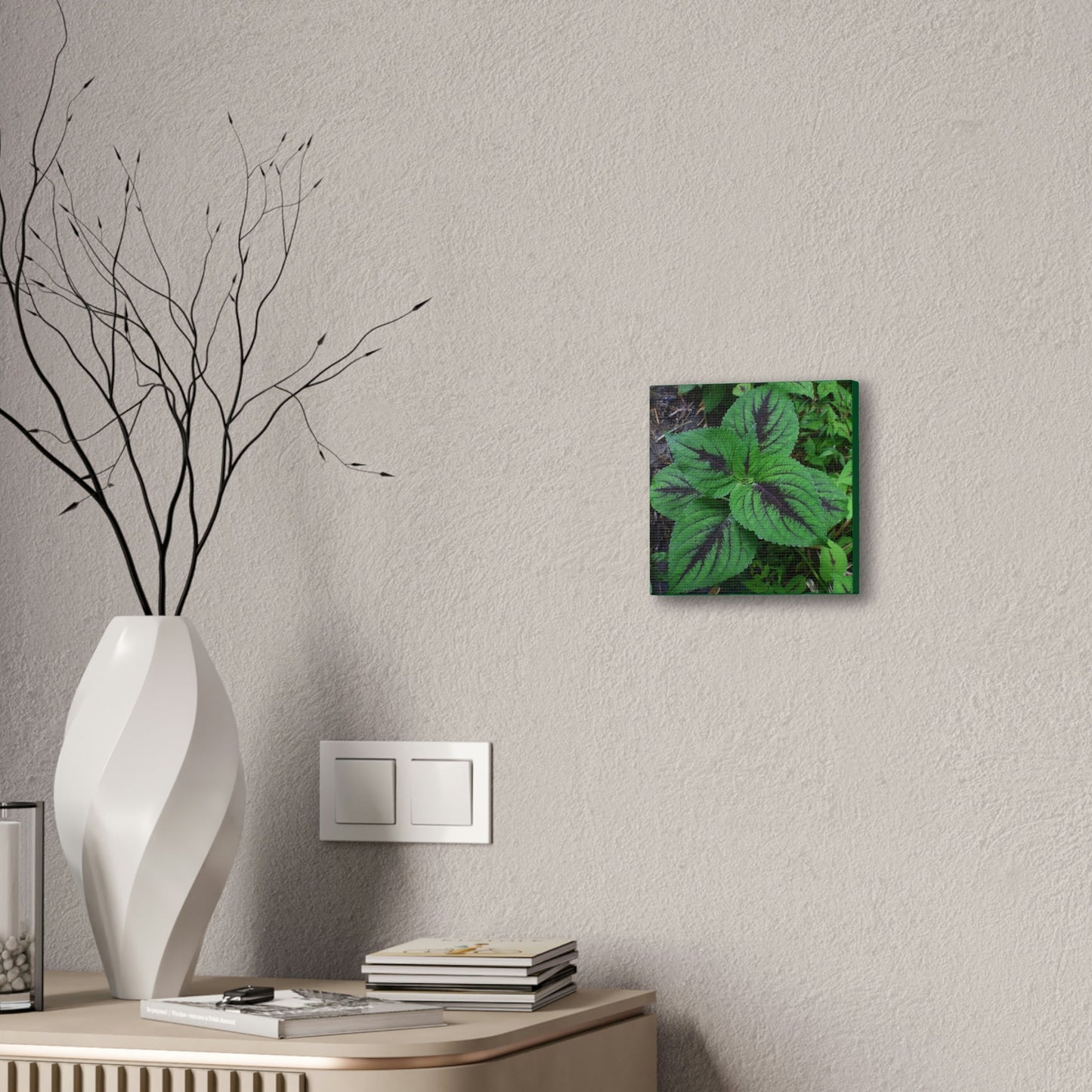 Deals on Thin Canvas - Stretched, 0.75" - Small Sizes - Ideal for Wall Forest Mosaics - Closeup of a Verguenza plant - Green Forest Home