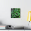 Deals on Thin Canvas - Stretched, 0.75" - Small Sizes - Ideal for Wall Forest Mosaics - Closeup of a Verguenza plant - Green Forest Home
