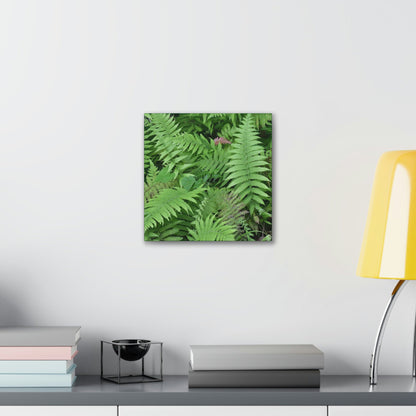 Deals on Thin Canvas - Stretched, 0.75" - Small Sizes - Ideal for Wall Forest Mosaics - Ferns Leaves - Green Forest Home