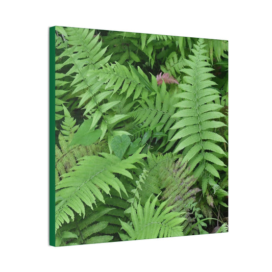 Deals on Thin Canvas - Stretched, 0.75" - Small Sizes - Ideal for Wall Forest Mosaics - Ferns Leaves - Green Forest Home
