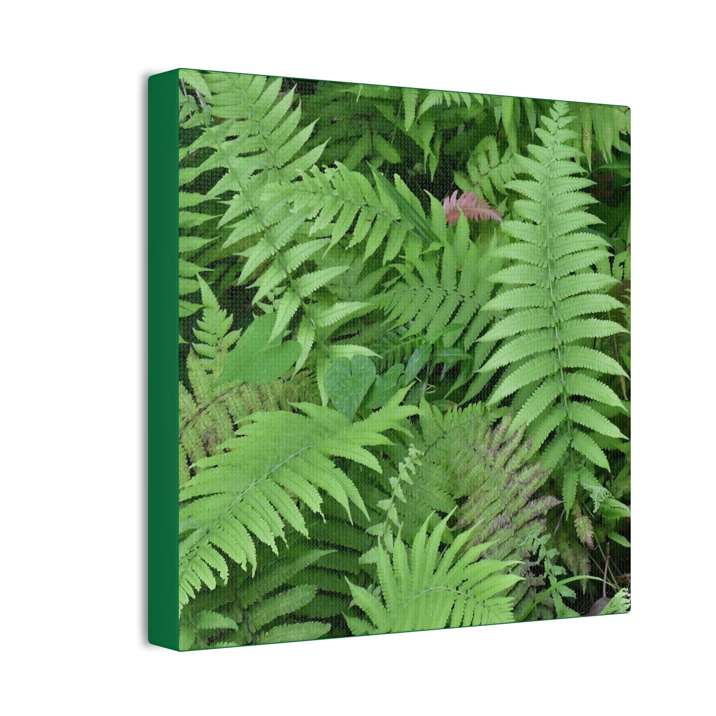 Deals on Thin Canvas - Stretched, 0.75" - Small Sizes - Ideal for Wall Forest Mosaics - Ferns Leaves - Green Forest Home