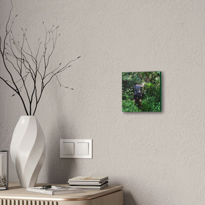Deals on Thin Canvas - Stretched, 0.75" - Small Sizes - Ideal for Wall Forest Mosaics - Jose tries to overcome walls of fallen trunks - PR 191 landslide - Green Forest Home