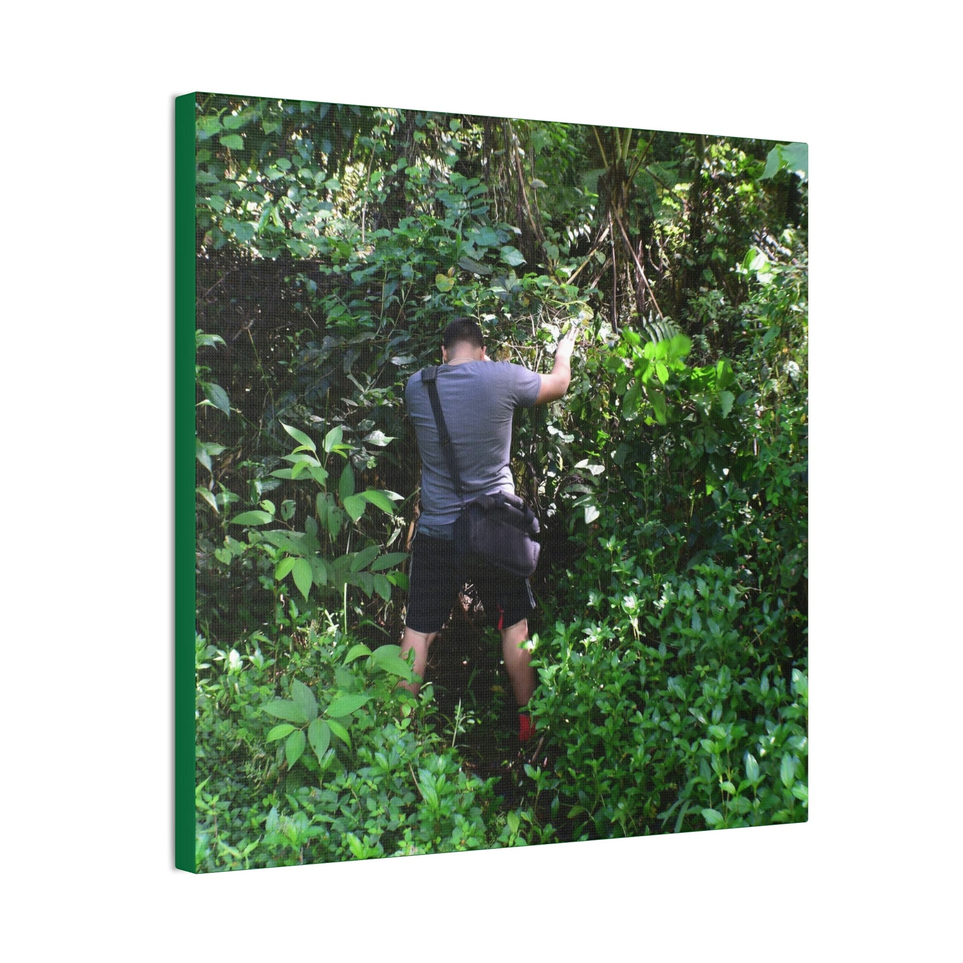 Deals on Thin Canvas - Stretched, 0.75" - Small Sizes - Ideal for Wall Forest Mosaics - Jose tries to overcome walls of fallen trunks - PR 191 landslide - Green Forest Home