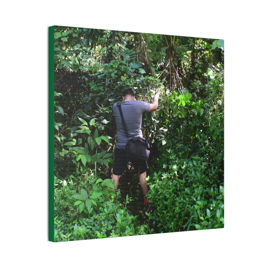 Deals on Thin Canvas - Stretched, 0.75" - Small Sizes - Ideal for Wall Forest Mosaics - Jose tries to overcome walls of fallen trunks - PR 191 landslide - Green Forest Home