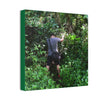 Deals on Thin Canvas - Stretched, 0.75" - Small Sizes - Ideal for Wall Forest Mosaics - Jose tries to overcome walls of fallen trunks - PR 191 landslide - Green Forest Home