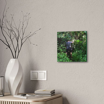 Deals on Thin Canvas - Stretched, 0.75" - Small Sizes - Ideal for Wall Forest Mosaics - Jose tries to overcome walls of fallen trunks - PR 191 landslide - Green Forest Home