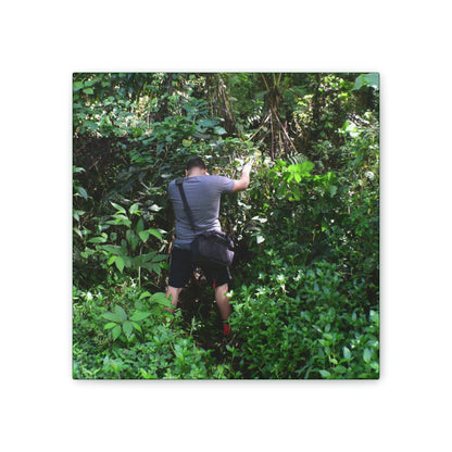 Deals on Thin Canvas - Stretched, 0.75" - Small Sizes - Ideal for Wall Forest Mosaics - Jose tries to overcome walls of fallen trunks - PR 191 landslide - Green Forest Home