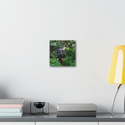 Deals on Thin Canvas - Stretched, 0.75" - Small Sizes - Ideal for Wall Forest Mosaics - Jose tries to overcome walls of fallen trunks - PR 191 landslide - Green Forest Home