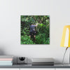 Deals on Thin Canvas - Stretched, 0.75" - Small Sizes - Ideal for Wall Forest Mosaics - Jose tries to overcome walls of fallen trunks - PR 191 landslide - Green Forest Home