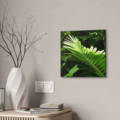 Deals on Thin Canvas - Stretched, 0.75" - Small Sizes - Ideal for Wall Forest Mosaics - Leave of the Sierra Palm - Green Forest Home