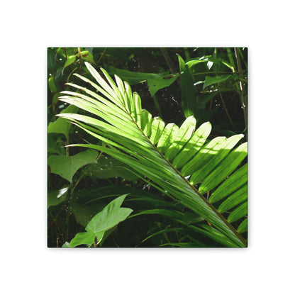 Deals on Thin Canvas - Stretched, 0.75" - Small Sizes - Ideal for Wall Forest Mosaics - Leave of the Sierra Palm - Green Forest Home
