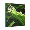 Deals on Thin Canvas - Stretched, 0.75" - Small Sizes - Ideal for Wall Forest Mosaics - Leave of the Sierra Palm - Green Forest Home