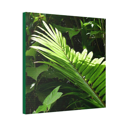 Deals on Thin Canvas - Stretched, 0.75" - Small Sizes - Ideal for Wall Forest Mosaics - Leave of the Sierra Palm - Green Forest Home
