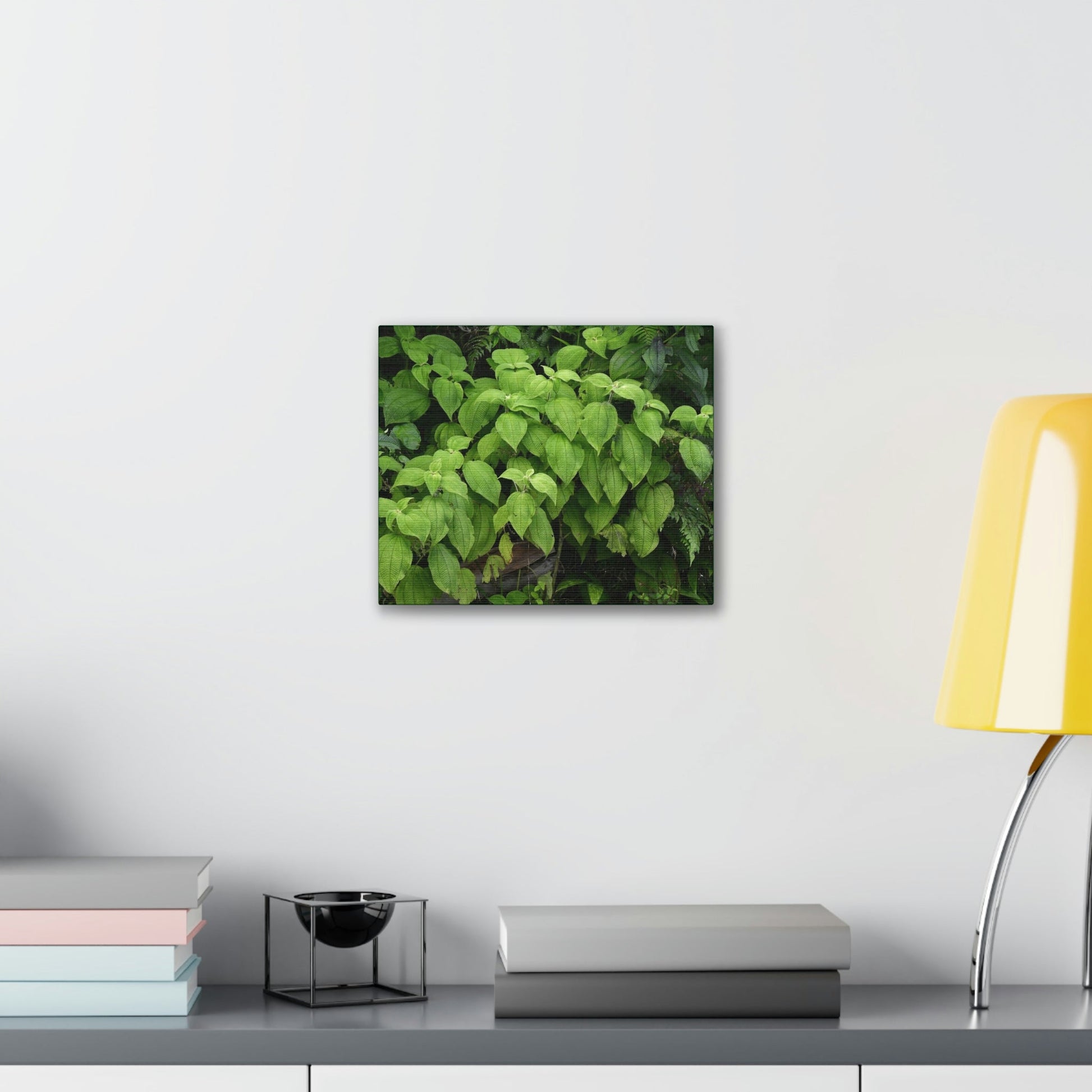 Deals on Thin Canvas - Stretched, 0.75" - Small Sizes Rectangular - Ideal for Wall Forest Mosaics - Cluster of Common El Yunque plants - Green Forest Home