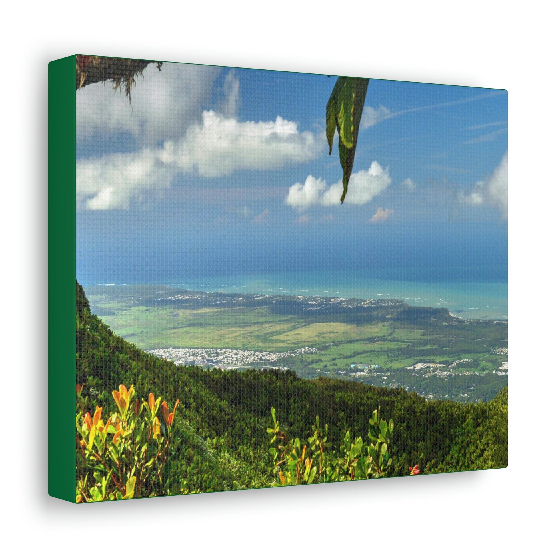 Explorations - Smaller Low-Cost Canvas Gallery Wraps - Awesome view from Tres Picachos at 3K feet - near El yunque rainforest PR - Green Forest Home