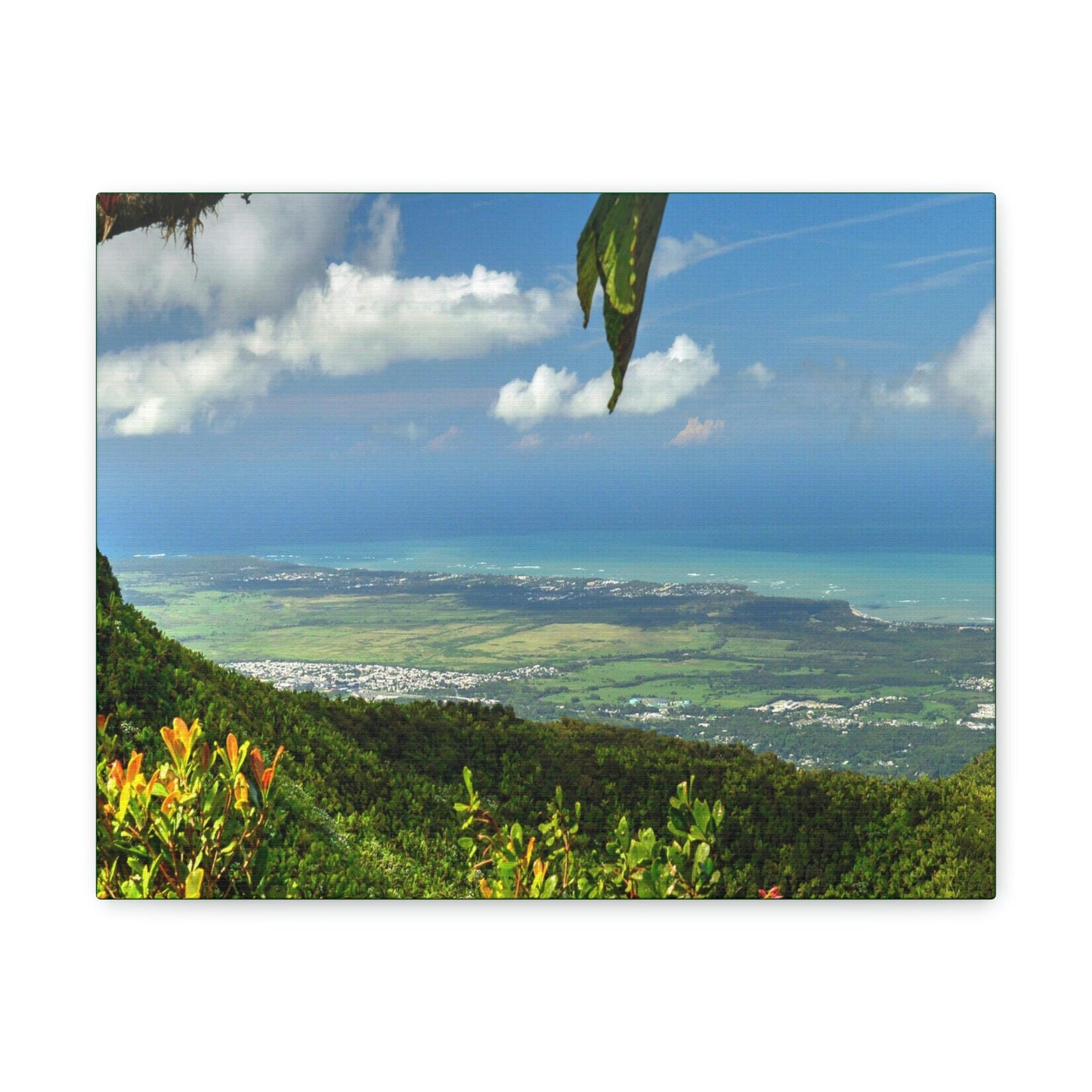 Explorations - Smaller Low-Cost Canvas Gallery Wraps - Awesome view from Tres Picachos at 3K feet - near El yunque rainforest PR - Green Forest Home