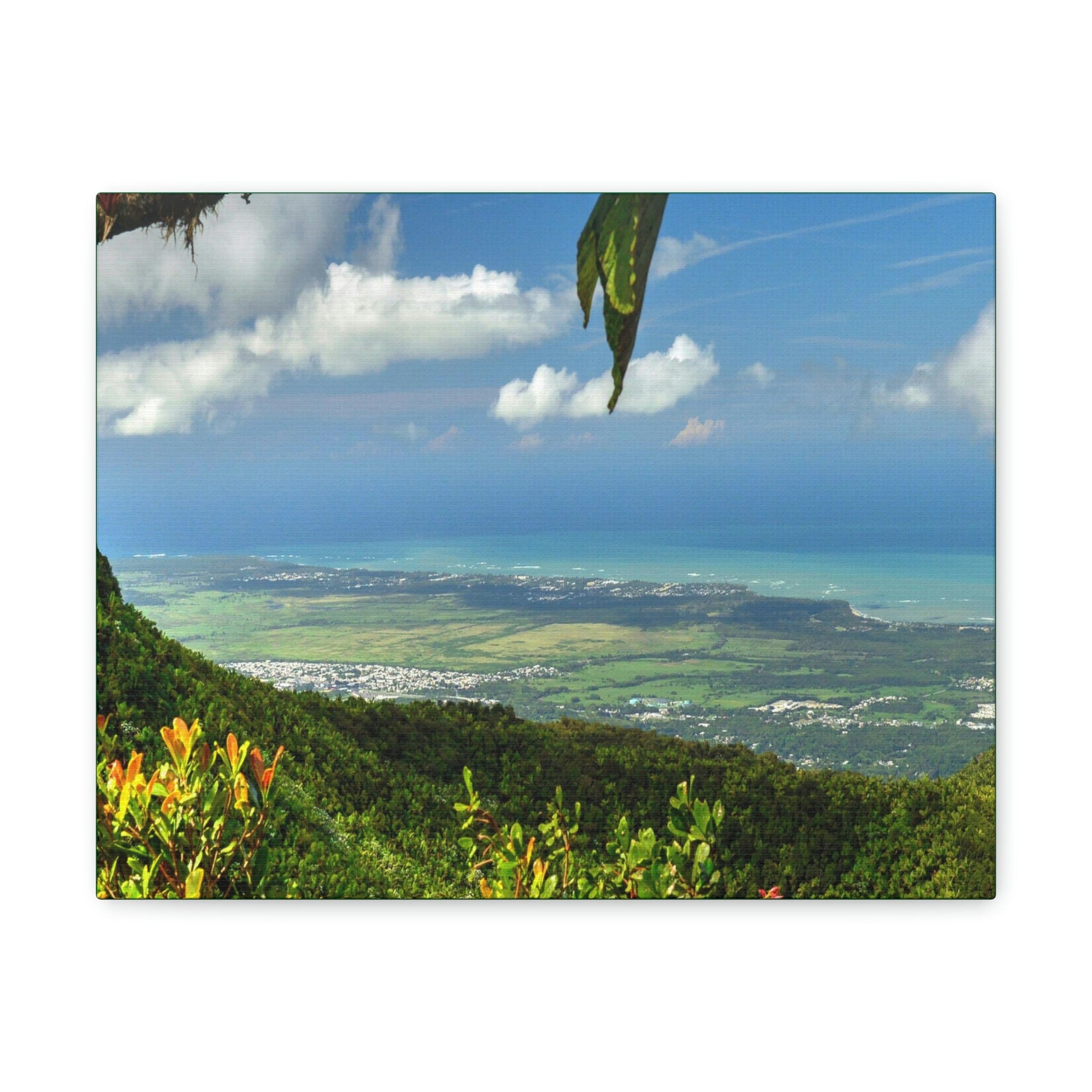Explorations - Smaller Low-Cost Canvas Gallery Wraps - Awesome view from Tres Picachos at 3K feet - near El yunque rainforest PR - Green Forest Home