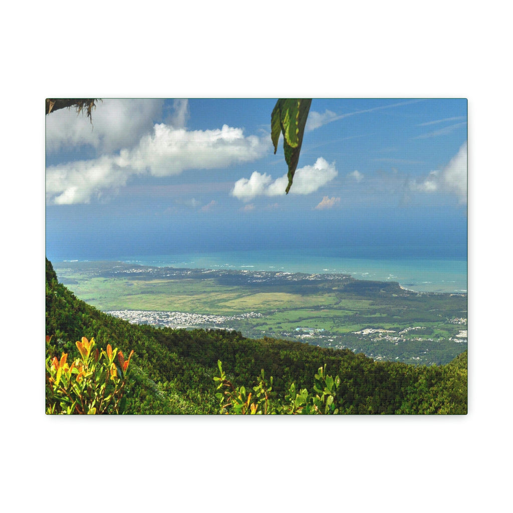 Explorations - Smaller Low-Cost Canvas Gallery Wraps - Awesome view from Tres Picachos at 3K feet - near El yunque rainforest PR - Green Forest Home