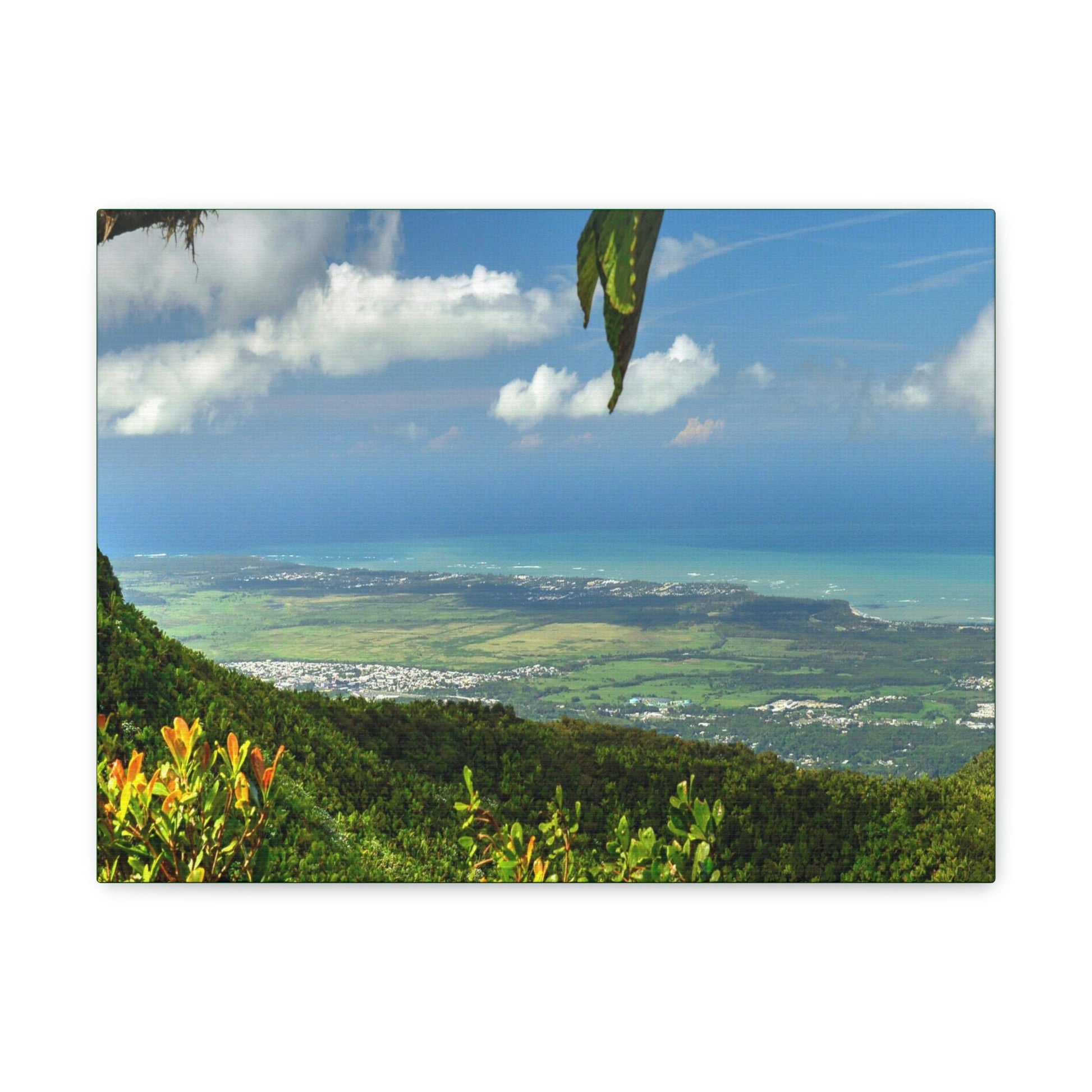Explorations - Smaller Low-Cost Canvas Gallery Wraps - Awesome view from Tres Picachos at 3K feet - near El yunque rainforest PR - Green Forest Home