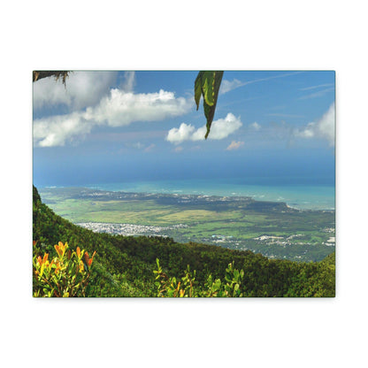 Explorations - Smaller Low-Cost Canvas Gallery Wraps - Awesome view from Tres Picachos at 3K feet - near El yunque rainforest PR - Green Forest Home