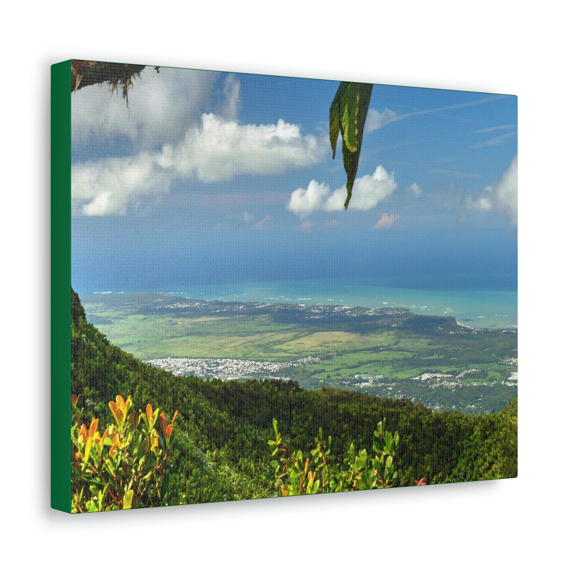 Explorations - Smaller Low-Cost Canvas Gallery Wraps - Awesome view from Tres Picachos at 3K feet - near El yunque rainforest PR - Green Forest Home