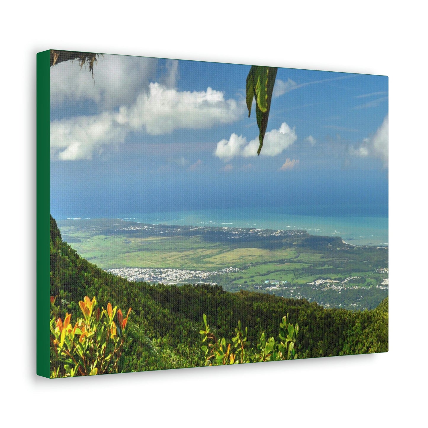 Explorations - Smaller Low-Cost Canvas Gallery Wraps - Awesome view from Tres Picachos at 3K feet - near El yunque rainforest PR - Green Forest Home