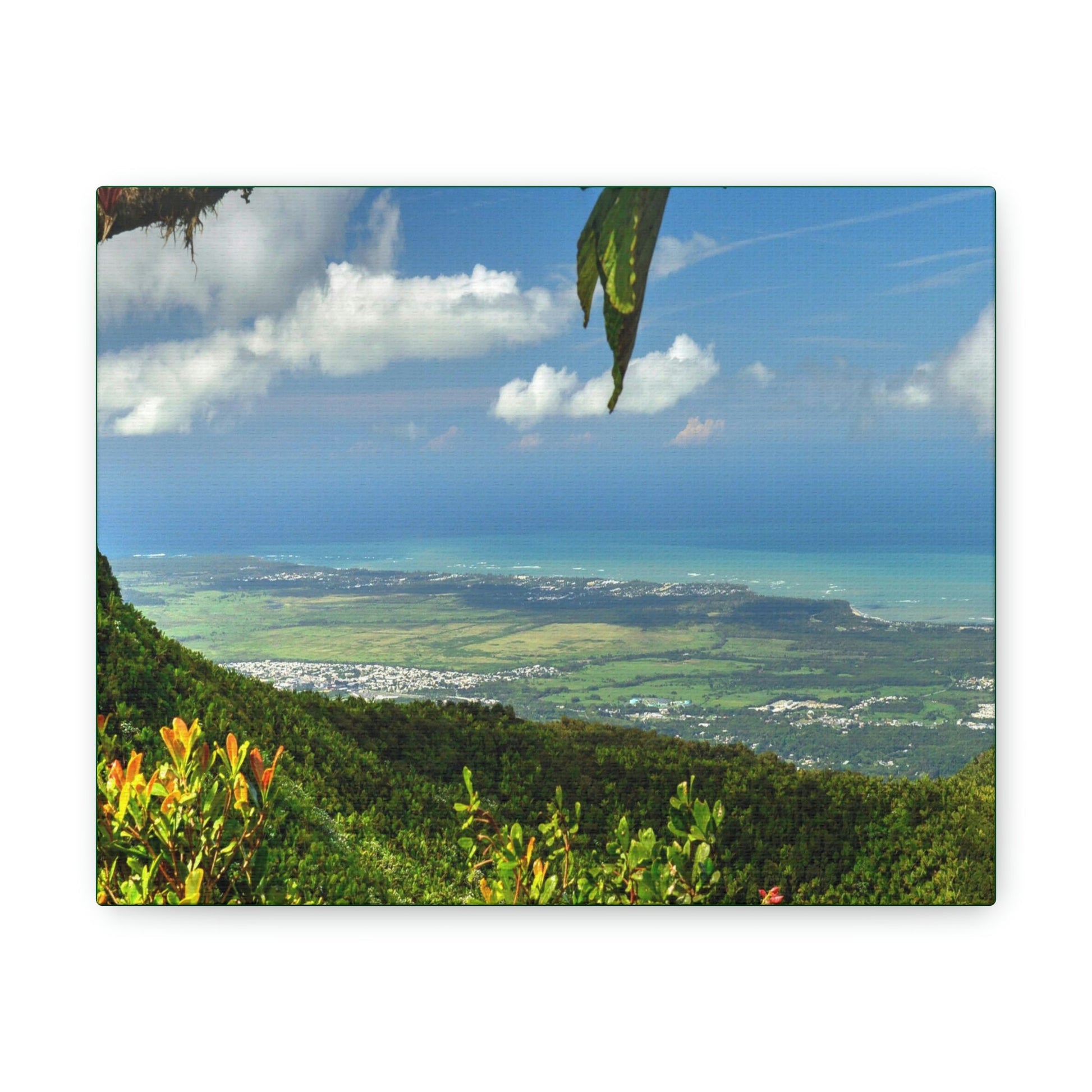 Explorations - Smaller Low-Cost Canvas Gallery Wraps - Awesome view from Tres Picachos at 3K feet - near El yunque rainforest PR - Green Forest Home
