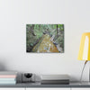 Explorations - Smaller Low-Cost Canvas Gallery Wraps - The Holy Spirit river explorations - El yunque rainforest PR - Green Forest Home