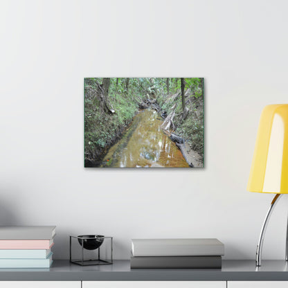 Explorations - Smaller Low-Cost Canvas Gallery Wraps - The Holy Spirit river explorations - El yunque rainforest PR - Green Forest Home